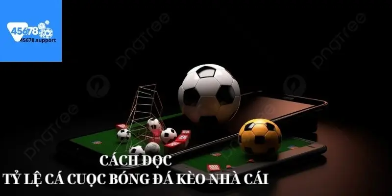 Khám phá cách đọc tỷ lệ cá cược bóng đá kèo nhà cái cơ bản