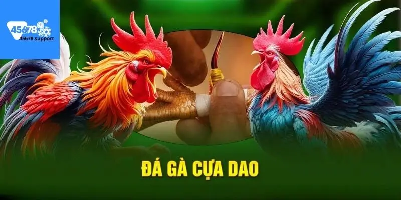 Giới thiệu đá gà cựa dao tại 45678