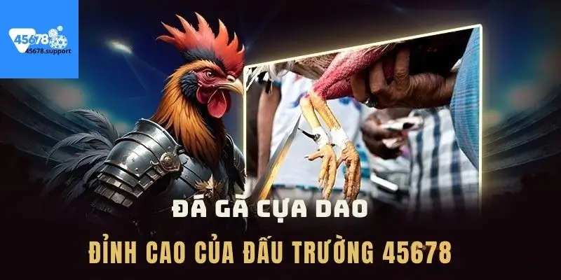 Chia sẽ kinh nghiệm lựa chọn cửa cược chuẩn đét từ cao thủ đá gà