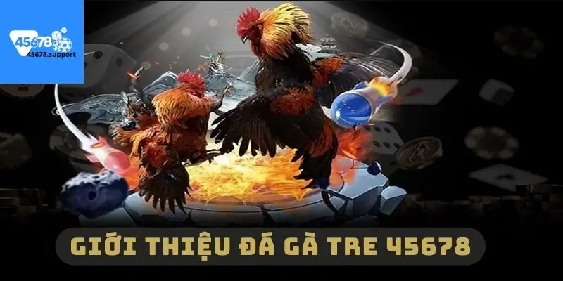 Giới thiệu về đá gà tre tại 45678